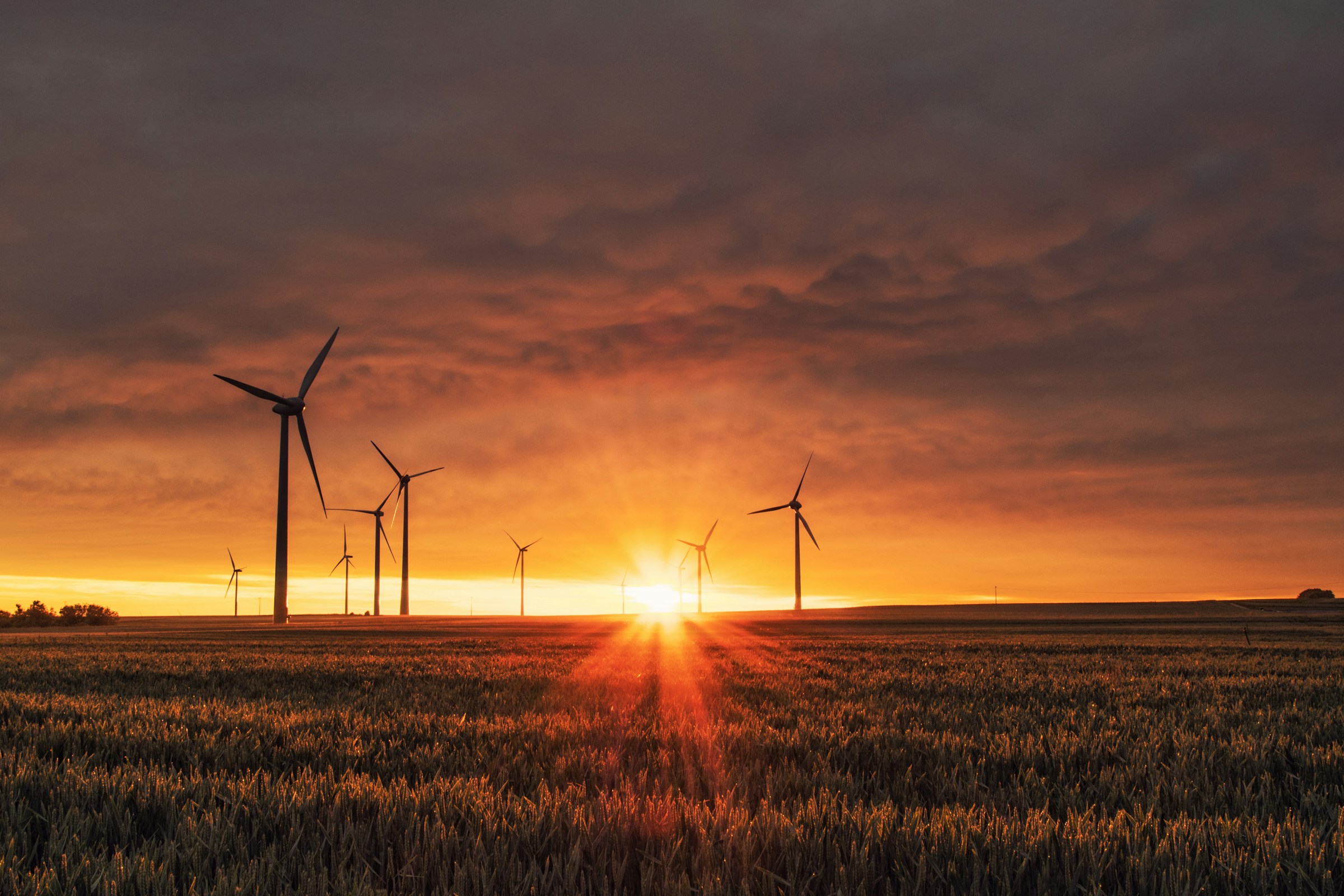 Wind turbines silhouetted against an evening sky